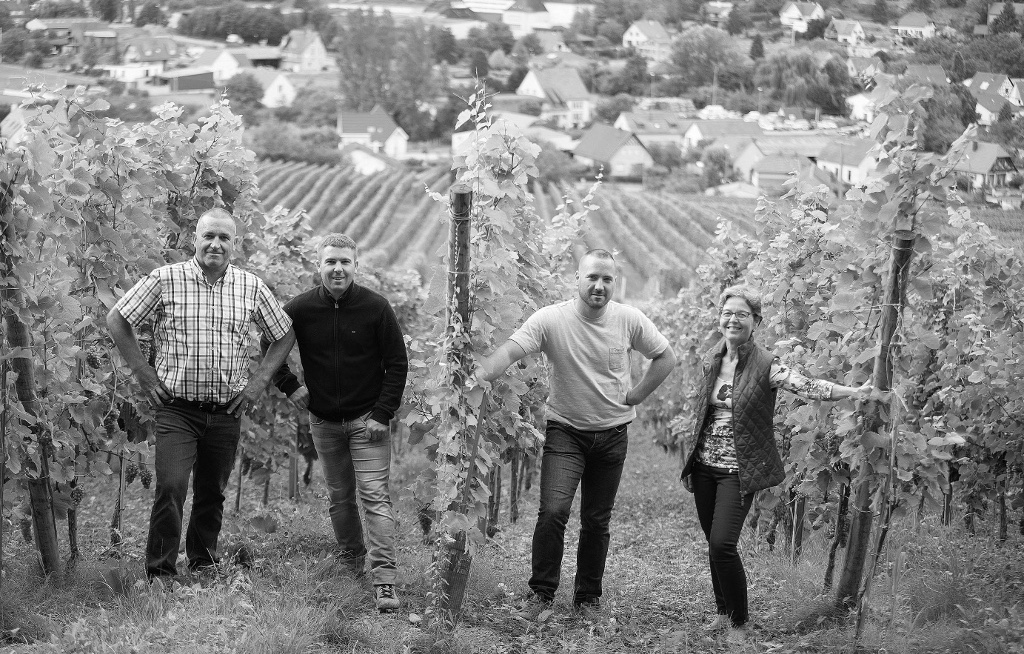 Crémant d'Alsace  dans le Haut-Rhin (68)